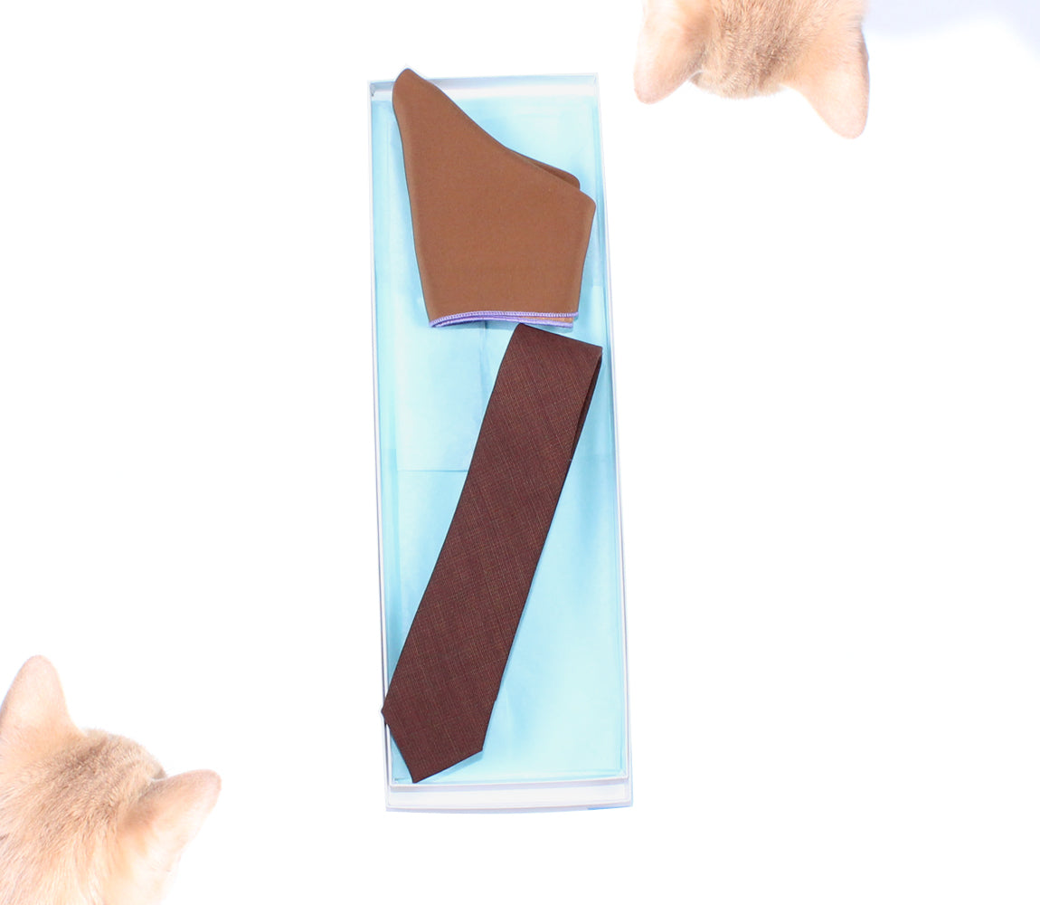 Brown and Terra-cotta skinny tie and pocket square gift set by german valdivia