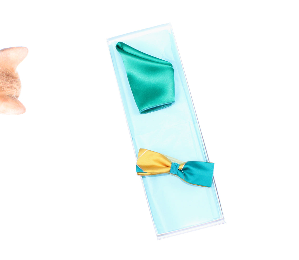 Gift Box Bow Tie and Pocket Square