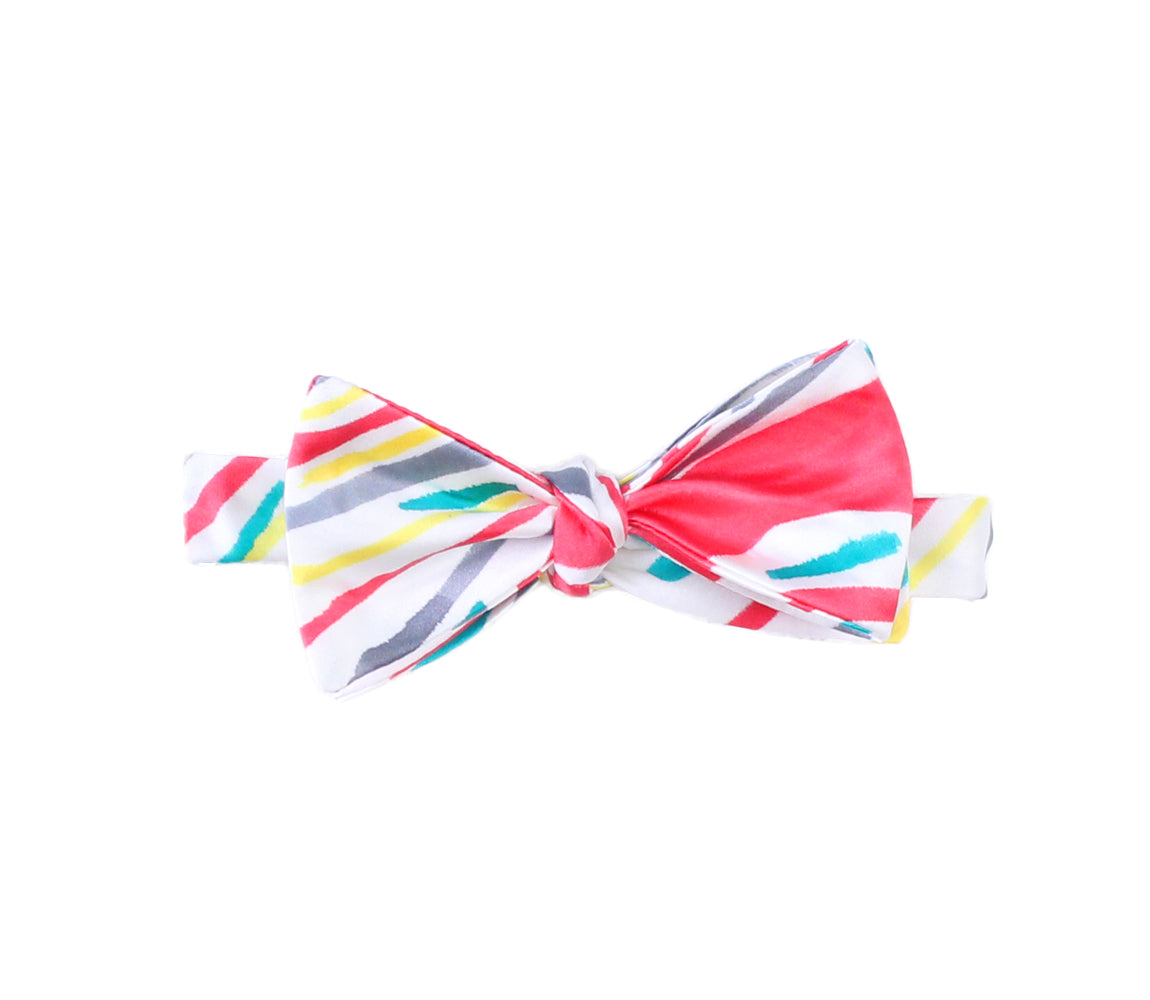 Hand Painted Bow Tie